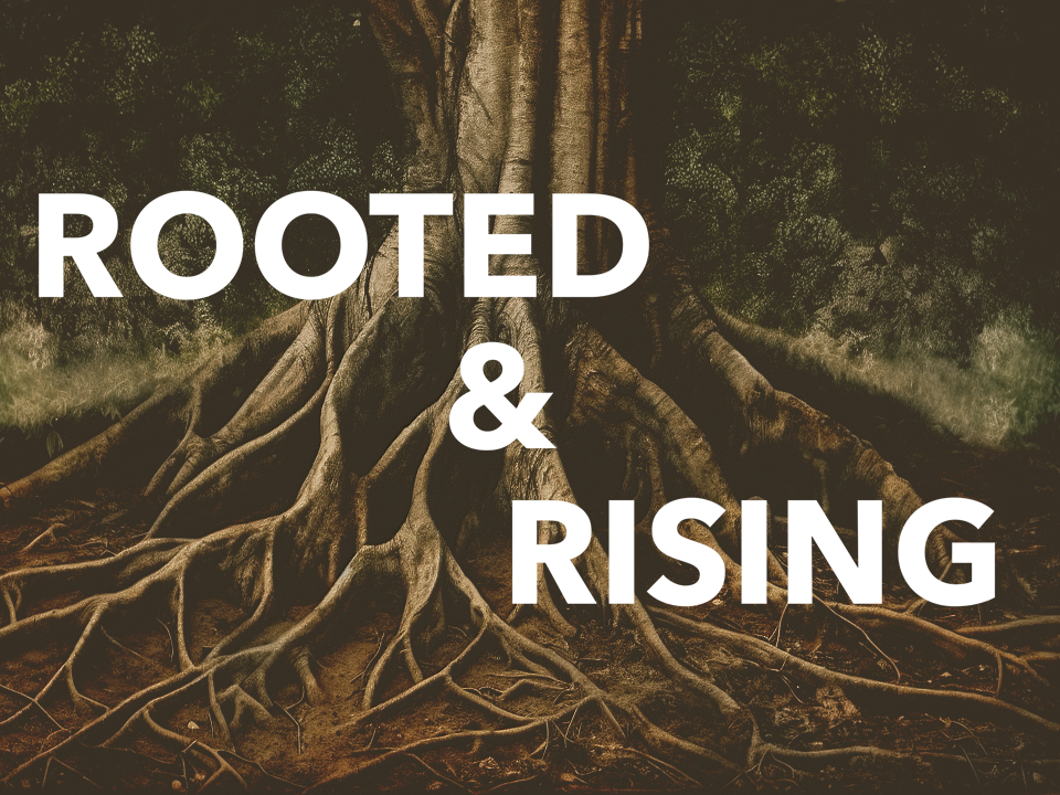 Rooted & Rising