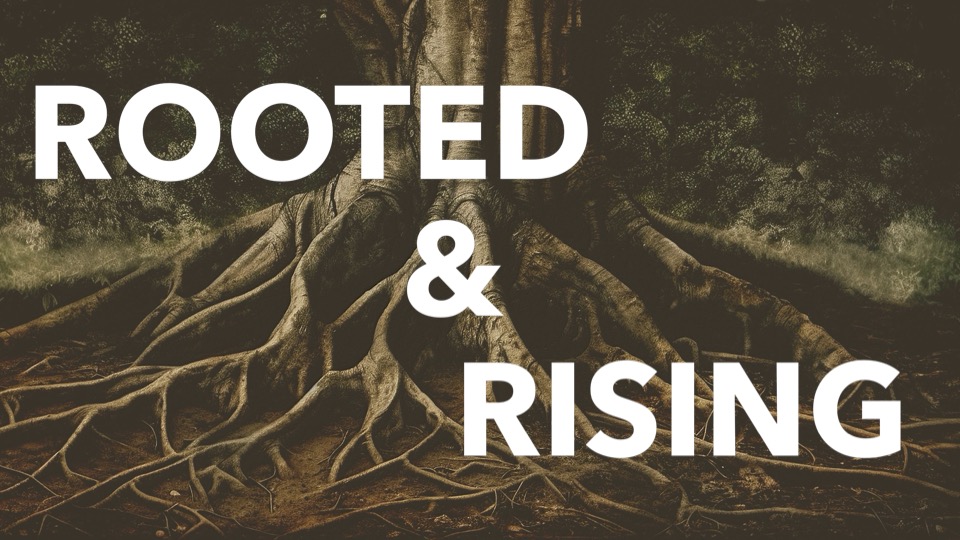 Rooted & Rising Series Sermon 5: Grow Through Battles Part 1